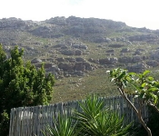 img-20130131-wa008